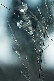 《街霸6》vs《街霸5》对比 真实次世代强作